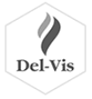 del_vis_logo